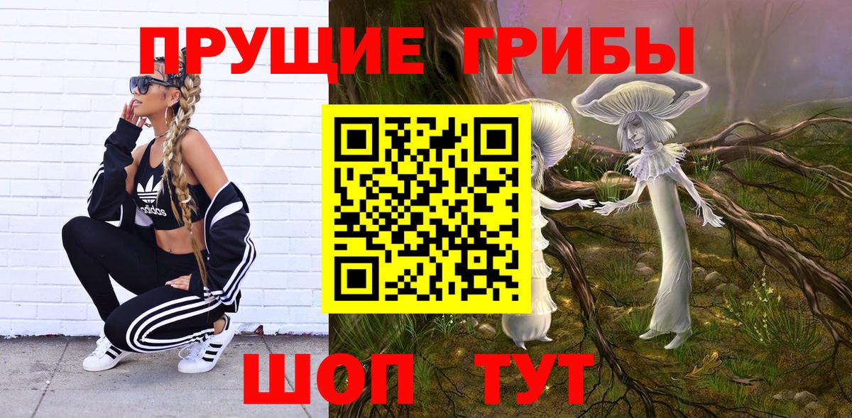 Лабинск  Псилоцибиновые грибы прущие грибы  Вход с VPN 