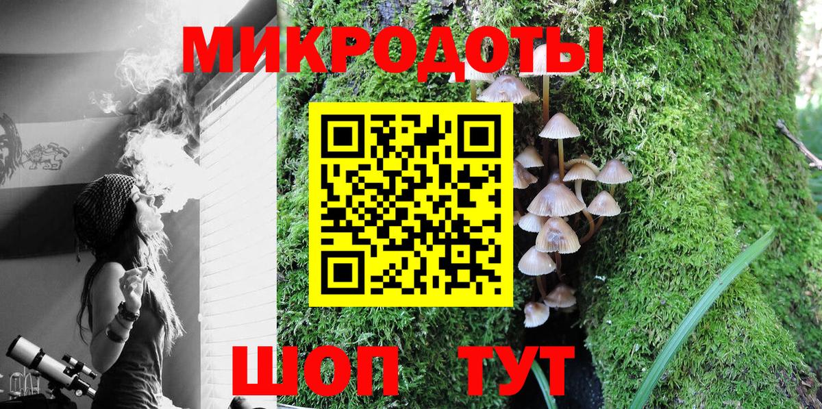 Псилоцибиновые грибы прущие грибы Лабинск